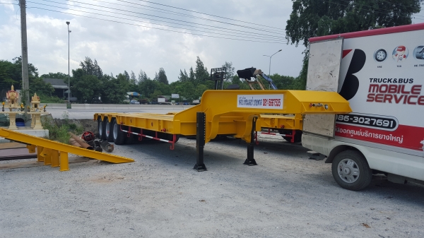 ขายโรเบทพื้นปิดรุ่นใหม่พื้นเต็มจัดดาวน์