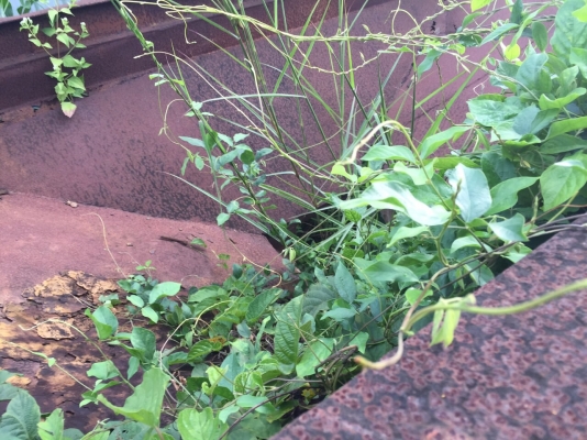 เครื่องดูดทราย โป๊ะแพ อุปกรณ์แยกทราย สายพานลำเลียงและอุปกรณ์อื่นๆ..ตู้ออฟฟิต