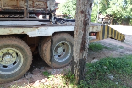 ขาย KT 929 หางปลา 430,000 เอกสารครบ ทะเบียนพร้อม