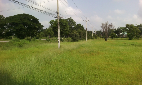 ไร่ละ350000 ขออนุญาติพี่เสือและทีมงานtruck2handนะครับ ขออนุญาติขายที่ดินครับ ไร่ละ350000 ขออนุญาติพี่เสือและทีมงานtruck2handนะครับ ขออนุญาติขายที่ดินครับ