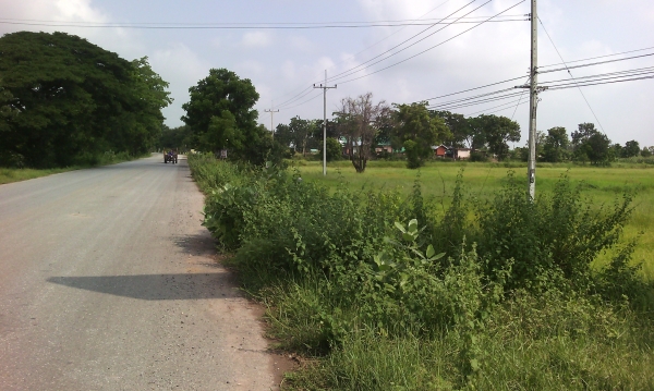 ไร่ละ350000 ขออนุญาติพี่เสือและทีมงานtruck2handนะครับ ขออนุญาติขายที่ดินครับ