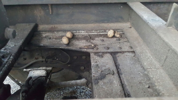 รถอีซูซุ 10 ล้อดั้ม FVZ  175 แรงม้า. ปี 42     สนใจติดต่อ  081 - 6079515