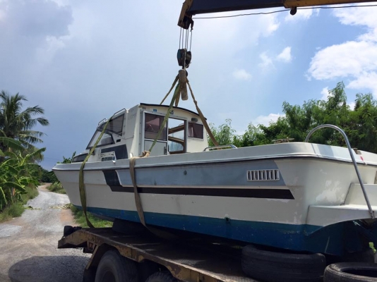 เรือตกปลานำเข้าญี่ปุ่น  F24 ดีเซล