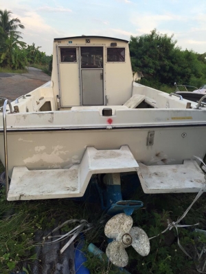 เรือตกปลานำเข้าญี่ปุ่น  F24 ดีเซล