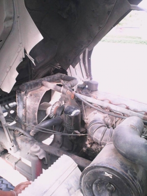 ขาย10ล้อหลงFUSO195 1เพลาร่อง เชชซีสวยเครื่องดี วิ่งงานทุกวัน กระบะเหล็กสภาพพร้อมใช้งาน เอกสารเลมทะเบียนพร้อมโอน