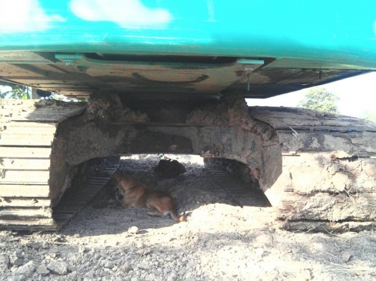 ขายรถขุดแบ็คโค MARK8 YN12 โกเบลโก้ ช่วงล่างดีบูมสวย สภาพเดิมสวยทำงานปกติ ลงงานได้เลย