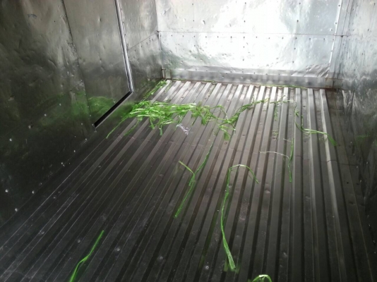 6ล้อตู้เปียก 110แรง ISUZU..รถห้างแท้ ตู้สแตนเลสยาว4ม.กว่า คัสซีสวย..