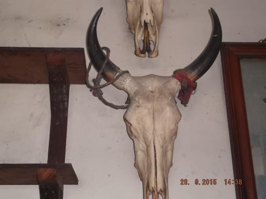 ประกาศขายของสะสมหายากหลายอย่าง แต่งบ้าน หรือร้าน ประกาศขายของสะสมหายากหลายอย่าง แต่งบ้าน หรือร้าน