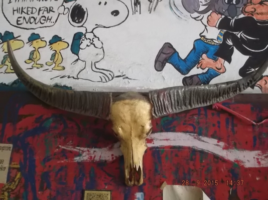 ประกาศขายของสะสมหายากหลายอย่าง แต่งบ้าน หรือร้าน ประกาศขายของสะสมหายากหลายอย่าง แต่งบ้าน หรือร้าน