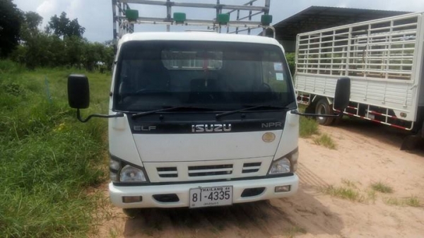 ขายรถ6ล้อ ISUZU NPR130แรง ปี51 ยาว5เมตร เครื่องดีแคชซีสวย สภาพพร้อมใช้งาน เอกสารพร้อมโอน สนใจโทร 090-8588220คุณนะ 093-3258446คุณบิว หรือเข้าดูสินค้าอื่นๆได้ที่ www.truck.in.th/498 หรือเพจFacebook ณรงค์ ซื้อขายรถมือสอง (เว็บไซต์ส่วนตัว) หรือFacebook ตลาดรถ
