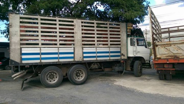 10ล้อ F17 ห้างแท้ เพลาเดียว 185 แรง ยาว 6 เมตร เบรคจิฟฟี่ คัสซีสวย คอกมิเนียมสามมิตรคับผม