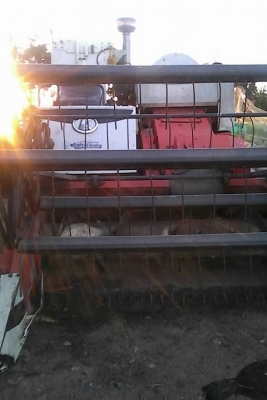 ขายรถเกี่ยวข้าว KUBOTA DC60 ปี54 สภาพพร้อมใช้งาน เอกสารพร้อมโอน สนใจโทร 090-8588220คุณนะ 093-3258446คุณบิว หรือเข้าดูสินค้าอื่นๆได้ที่ www.truck.in.th/498 หรือเพจFacebook ณรงค์ ซื้อขายรถมือสอง (เว็บไซต์ส่วนตัว) หรือFacebook ตลาดรถมือสอง คุณนะ