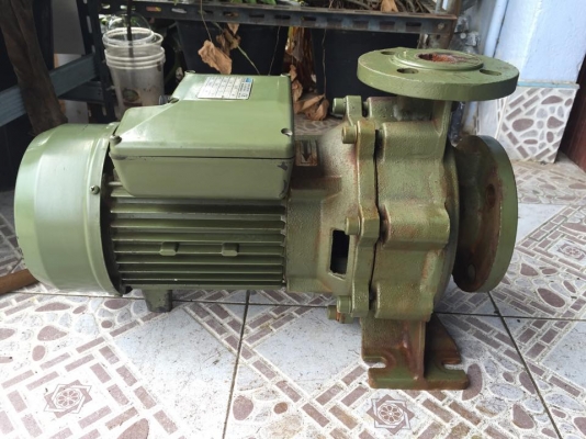 ขายปั้มหอยโข่ง 3HP อิตาลี่ มือสองครับ