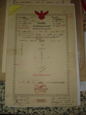 ที่ดิน  คลอง11 หนองเสือ 12ไร่ ( 11-3-83 5/10 ) ราคา  6,600,000 บาท