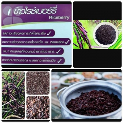 ขายข้าว ไรซ์เบอรี่