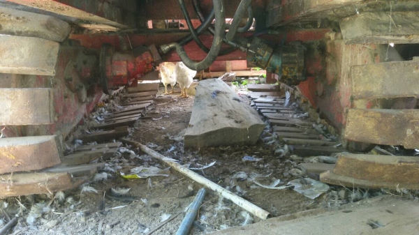 ขายด่วนๆ (170.000)ขายรถเกี่ยวอุ้ม 1.8ตัน เครื่อง+ปั้ม+ช่วงล่างใหม่ๆ 195-22-10