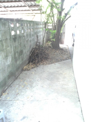 ขายบ้านชเดียว