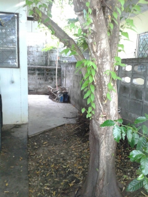 ขายบ้านชเดียว