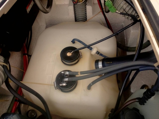 ปลาโอเก่าญี่ปุ่น สภาพสมบูรณ์มาก