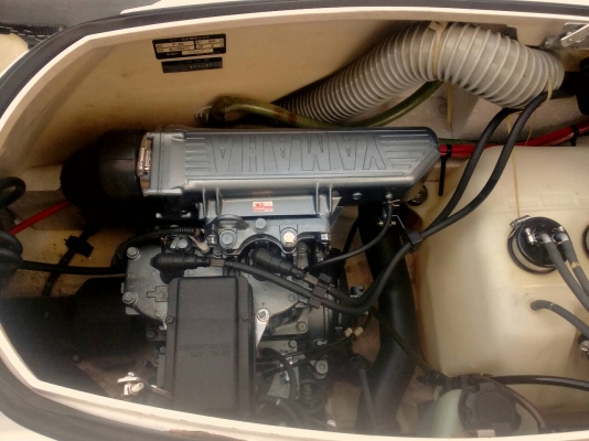 ปลาโอเก่าญี่ปุ่น สภาพสมบูรณ์มาก