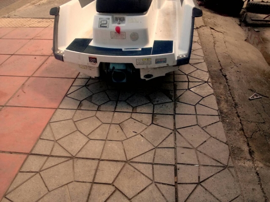 ปลาโอเก่าญี่ปุ่น สภาพสมบูรณ์มาก