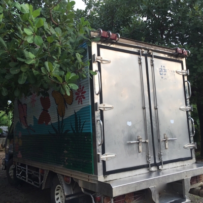 รถอีซูซุ 6 ล้อ ตู้เย็น  NPR  115 แรงม้า. ปี 48    สนใจติดต่อ  081 - 6079515