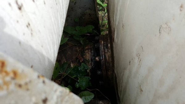 ขายชุดโม่ปูน 3 คิว สภาพพร้อมยกขึ้นใส่ได้เลย อุปกรณ์ครบ ราคาคุยกันได้ครับ ขายชุดโม่ปูน 3 คิว สภาพพร้อมยกขึ้นใส่ได้เลย อุปกรณ์ครบ ราคาคุยกันได้ครับ