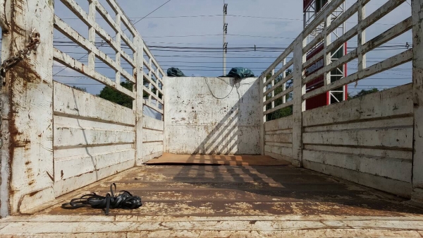 ขายรถล่อง 10 ล้อ เพลาเดียว HINO FL227 วางหัวสิงห์ไฮเทค เครื่องเดิม EM100 220 แรงม้า คัสซีสวยตลอดเส้น มีระบบลากพ่วง เบรคทิฟฟี่ พาวเวอร์ ทะเบียนพร้อมโอน ขายรถล่อง 10 ล้อ เพลาเดียว HINO FL227 วางหัวสิงห์ไฮเทค เครื่องเดิม EM100 220 แรงม้า คัสซีสวยตลอดเส้น มีระบบลากพ่วง เบรคทิฟฟี่ พาวเวอร์ ทะเบียนพร้อมโอน