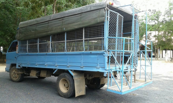 **ขายแล้วครับขอบคุณ ลูกค้า และ ขอบคุณ Truck2hand ครับ **ขายแล้วครับขอบคุณ ลูกค้า และ ขอบคุณ Truck2hand ครับ