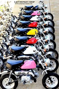 มังกี้ กอลิล่า เดิม ราคาสุดๆ เริ่มต้นเพียง 2XXXX  แต่งๆๆ ลดราคาทุกรุ่นและมีของแถมอีกมากมาย  ด่วนๆๆ ลดๆๆ   เริ่มต้นราคา ที 22999