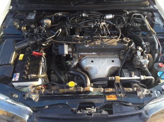 ขายด่วน รถเก๋ง Honda Accord ปี37 เครื่องดี ติดแก๊สหัวฉีดพร้อม ภาษีเต็มพร้อมโอนพร้อมใช้ รถสวยจัดๆ ขายด่วน รถเก๋ง Honda Accord ปี37 เครื่องดี ติดแก๊สหัวฉีดพร้อม ภาษีเต็มพร้อมโอนพร้อมใช้ รถสวยจัดๆ