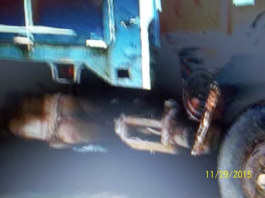 ขาย6ล้อดั้มอิซูสุร็อคกี้ 175แรง เอกสารพร้อมโอน