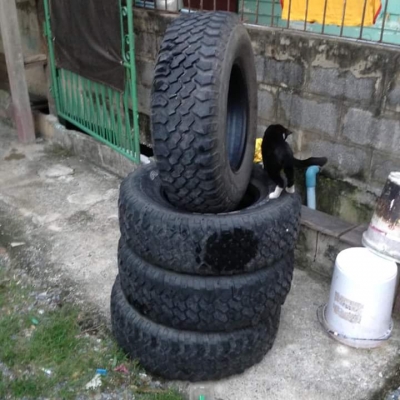 ยาง Mud 265/75/16