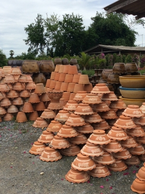 ต้องการเซ้งกิจการร้านไม้ดอกไม้ประดับ ทำเลทองด่วน