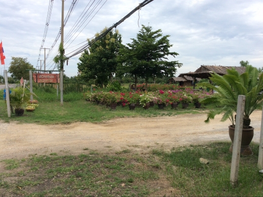 ต้องการเซ้งกิจการร้านไม้ดอกไม้ประดับ ทำเลทองด่วน