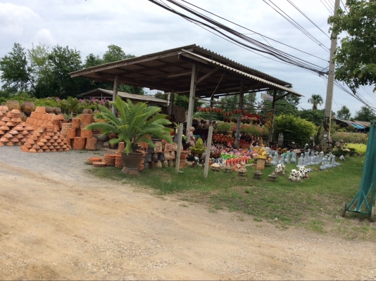 ต้องการเซ้งกิจการร้านไม้ดอกไม้ประดับ ทำเลทองด่วน