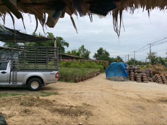 ต้องการเซ้งกิจการร้านไม้ดอกไม้ประดับ ทำเลทองด่วน