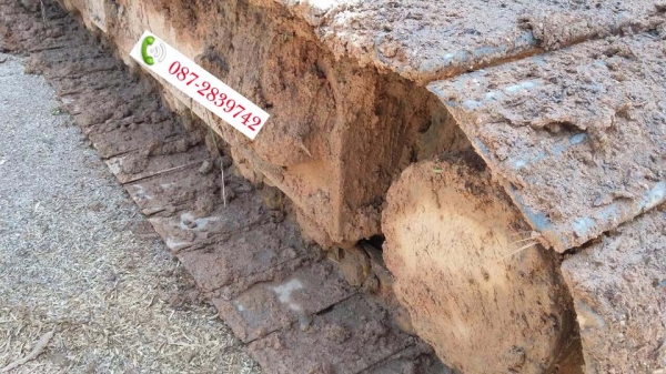 ขายรถแบคโฮ CAT312C ทำงาน 11,5XX ชม.