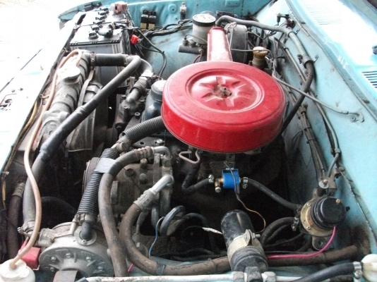 ขายช้างเหยียบสวยพร้อมใช้