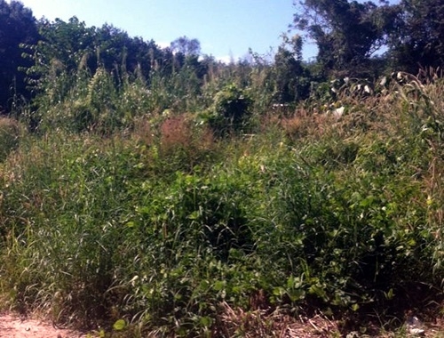 (((...ขายที่ดิน ใน จังหวัด จันทบุรี ราคาถูกๆๆๆๆ