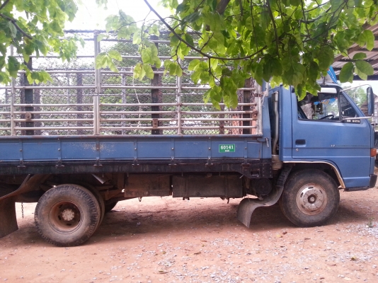 ขาย6ล้อ isuzu NPR115 เสี่ยสั่งลุยในตำนาน