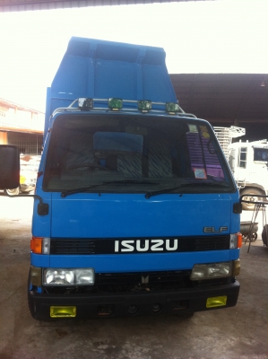 ISUZU NKR