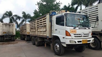 ขายฮีโน่ 320 ปี49