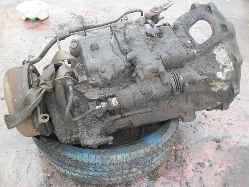 -ขายแล้ว-