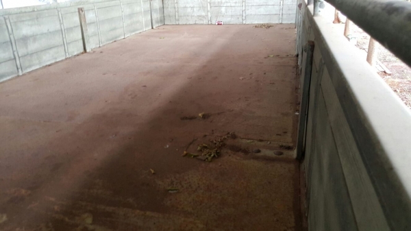 รถฮีโน่ 6 ล้อ หลังถนน FB 120 แรงม้า. ปี 38    สนใจติดต่อ 081 - 6079515