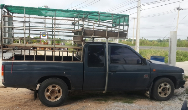 ขายนิสสันบิกเอ็ม