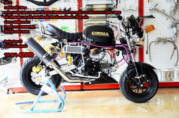 รถต้นแบบ MSX มังกี้ กอลิล่า แต่ง มี100 แบบให้เลือก