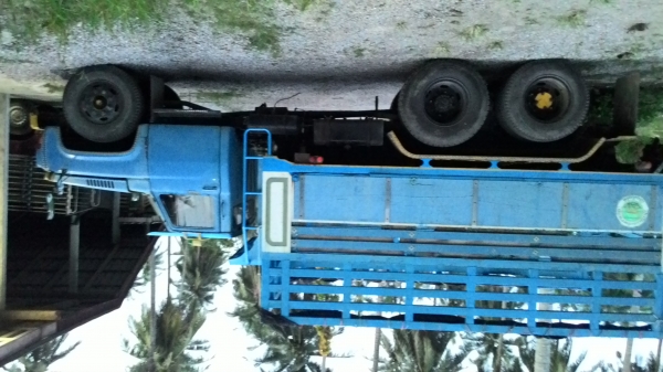 ขาย10ล้อหน้ายาวสภาพพร้อมใช้ครับ