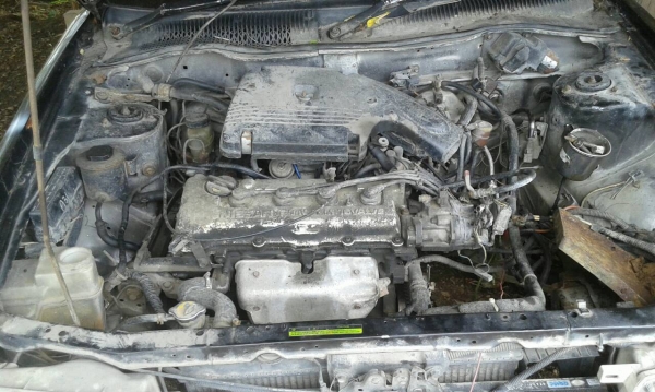 ขายบอดี้ b13