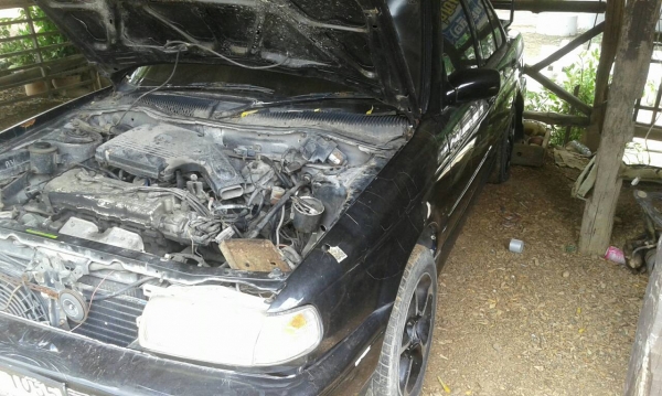 ขายบอดี้ b13